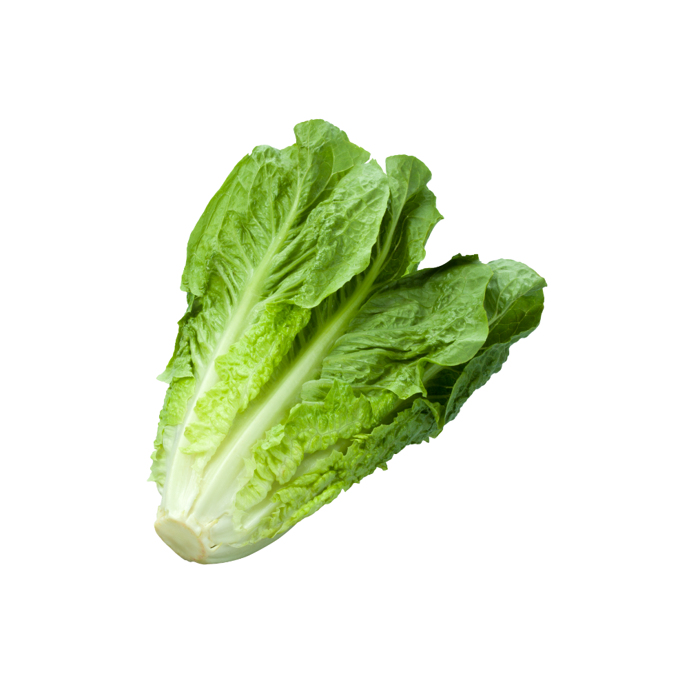 Romana Salat 2er Pack