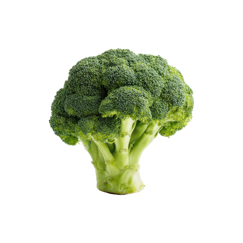 Broccoli