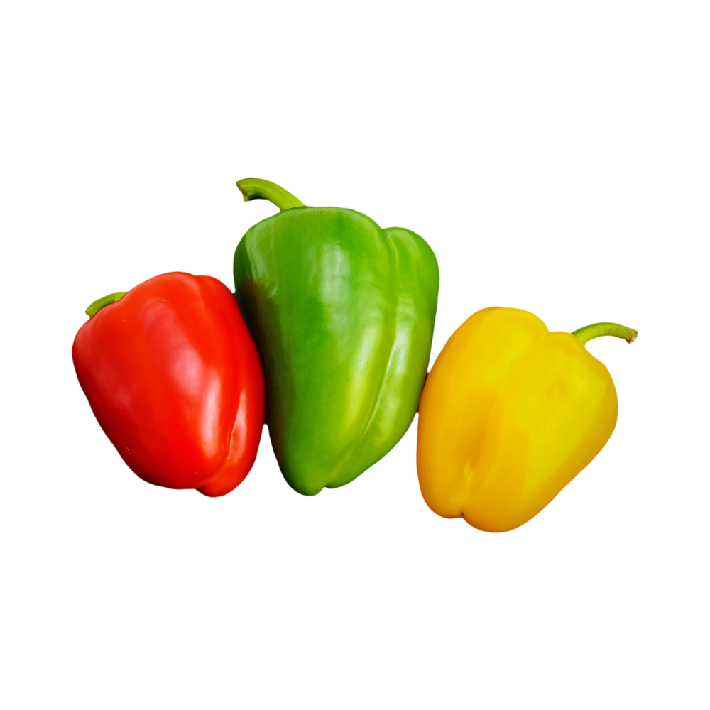 Paprika Mix Beutel "Bunt" 500g