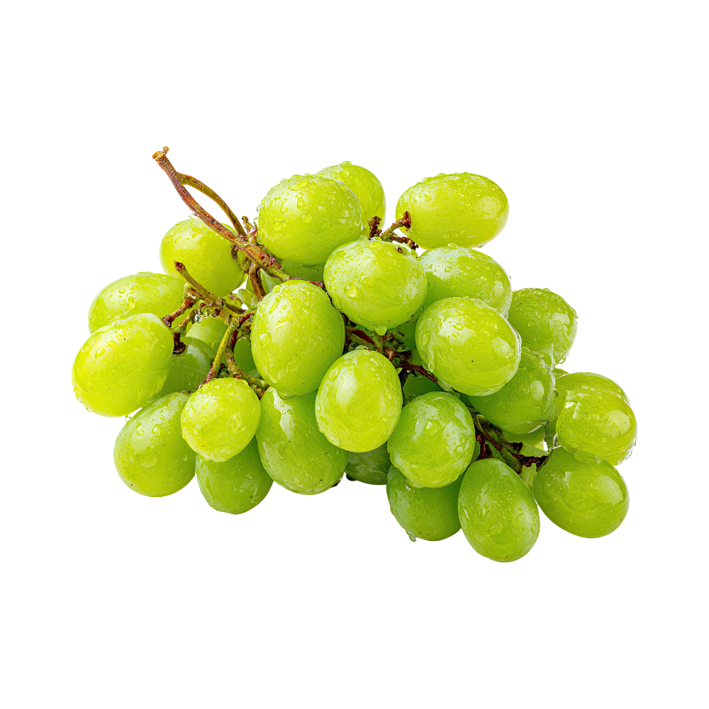 Weintrauben Hell kernlos 500g