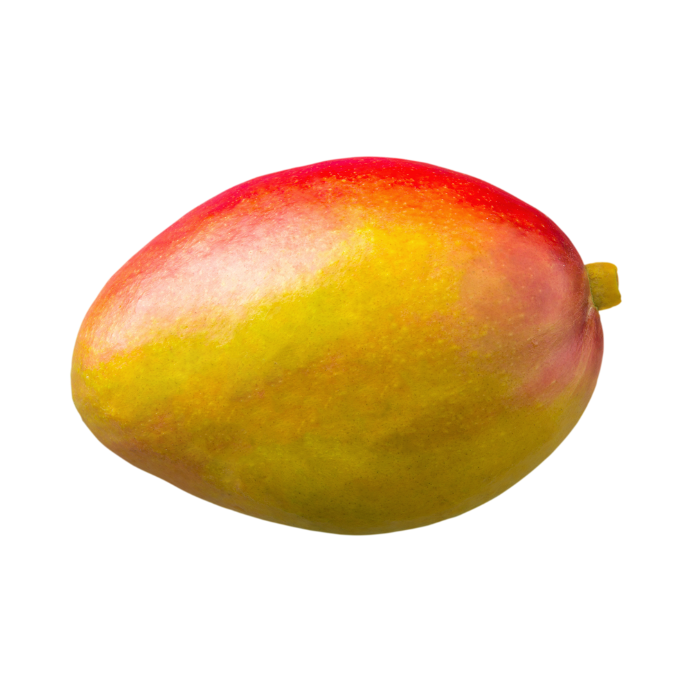 Mango "Keitt" Stück