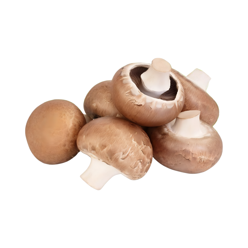 Champignons braun 400g