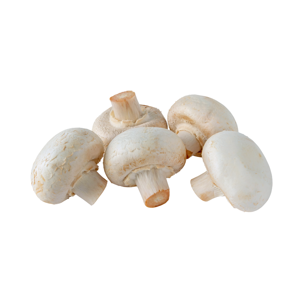 Champignons weiß 400g