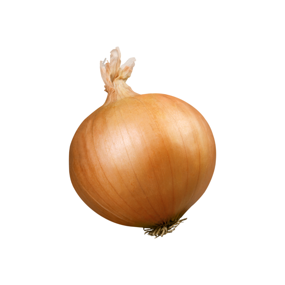 Speisezwiebel Stück